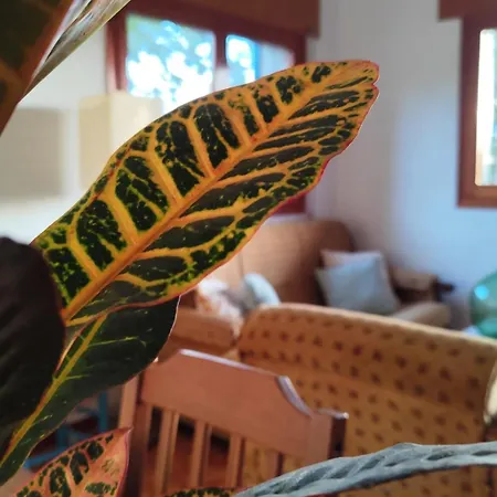 La Campanera Las Navas del Marqués