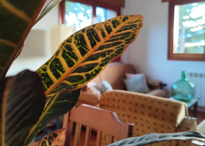 La Campanera 라스 나바스 델 마르케스